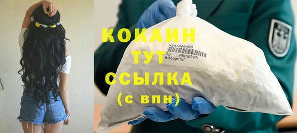 ГАЛЛЮЦИНОГЕННЫЕ ГРИБЫ Наволоки