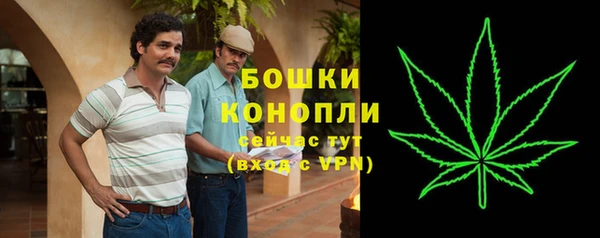 ГАЛЛЮЦИНОГЕННЫЕ ГРИБЫ Наволоки