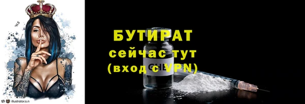 индика Нея