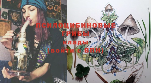 индика Нея