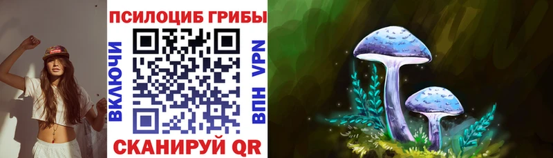 Псилоцибиновые грибы Psilocybe  Новая Ляля 